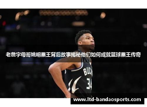 老詹字母哥姚明票王背后故事揭秘他们如何成就篮球票王传奇