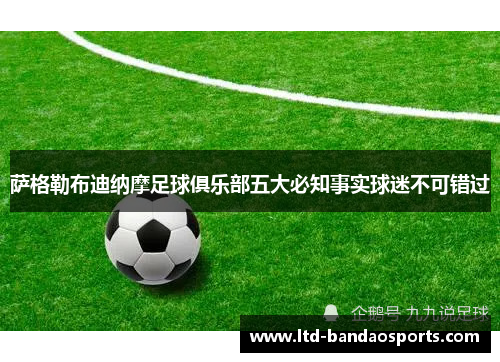 萨格勒布迪纳摩足球俱乐部五大必知事实球迷不可错过