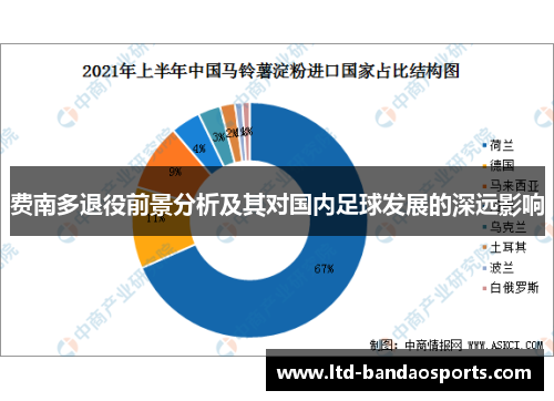 费南多退役前景分析及其对国内足球发展的深远影响 费南多退役前景分析及其对国内足球发展的深远影响